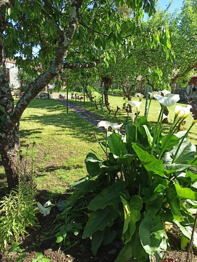 La Floiracaise Hotel Floirac  ภายนอก รูปภาพ
